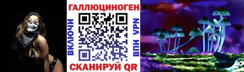Псилоцибиновые грибы Psilocybe  Купить  Бахчисарай 